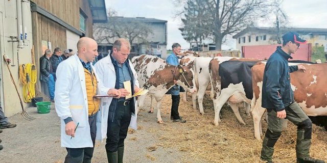 Die Punktierung beim Rind wird seit rund zehn Jahren nur noch aus der Kasse der Absatzförderung unterstützt. Nun wird der «Tierzucht-Geldhahn» für Schauen auch bei allen anderen Tiergattungen zugedreht. Das BLW schlägt drei Wege zur Anpassung vor.  