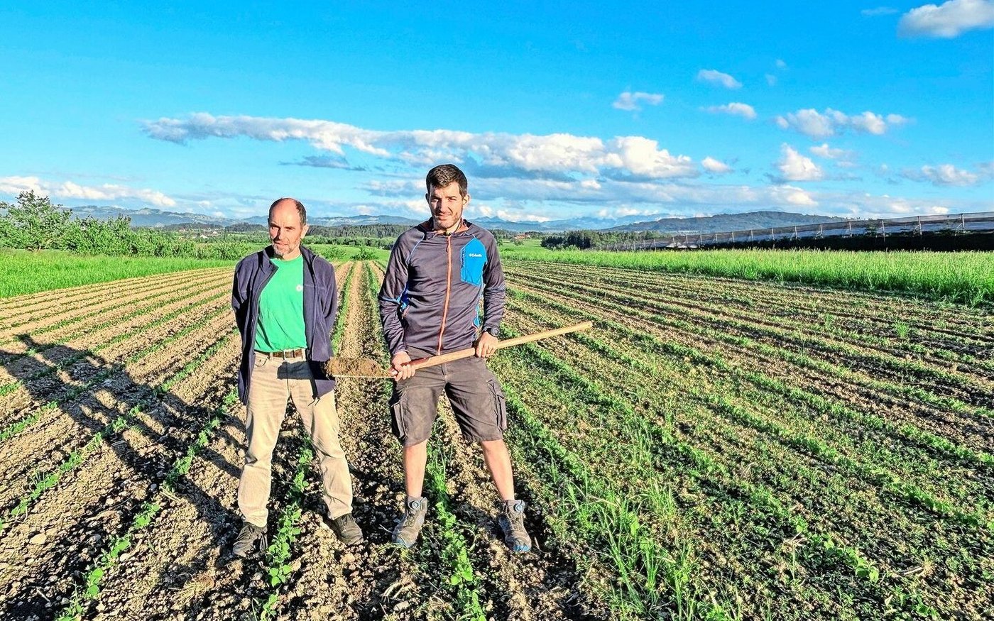 Herbert Schär mit Sohn Markus, der auf nächstes Jahr den Hof übernimmt. Links und rechts des Sojafeldes sind Wiesenstreifen. Zwischen den breiten Sojareihen wird Herbert Schär noch Speisehirse einsäen. 