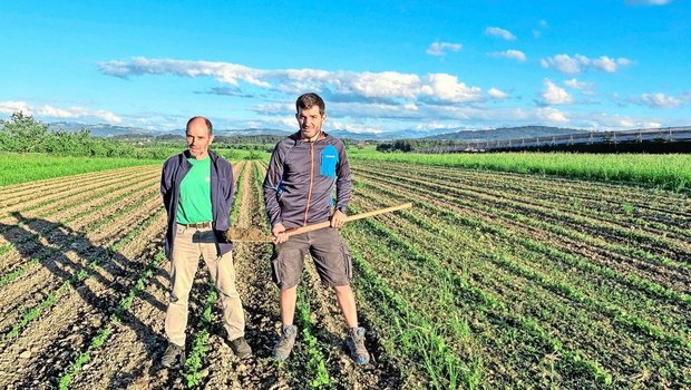 Herbert Schär mit Sohn Markus, der auf nächstes Jahr den Hof übernimmt. Links und rechts des Sojafeldes sind Wiesenstreifen. Zwischen den breiten Sojareihen wird Herbert Schär noch Speisehirse einsäen. 