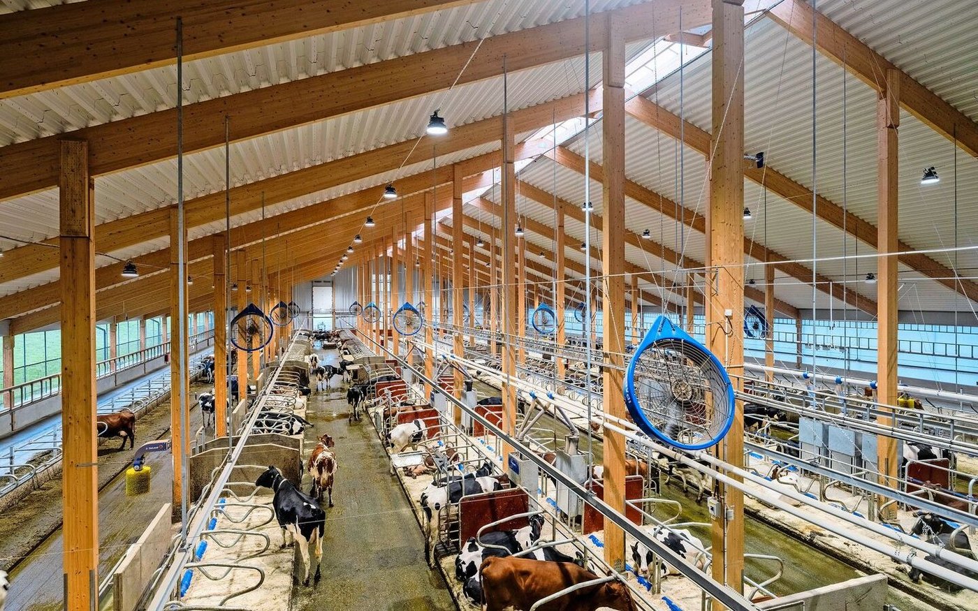 Prunkstück des Erweiterungsbaus bei der DeLaval-Versuchsfarm ist der neu erbaute VMS-Stall mit Besucherzentrum und Platz für bis zu 350 Milchkühe.  