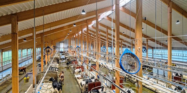 Prunkstück des Erweiterungsbaus bei der DeLaval-Versuchsfarm ist der neu erbaute VMS-Stall mit Besucherzentrum und Platz für bis zu 350 Milchkühe.  