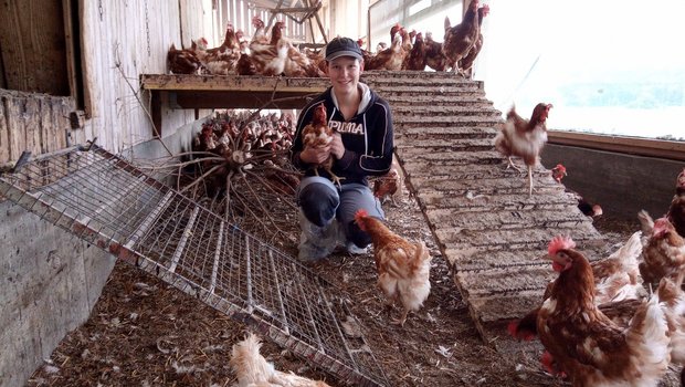 Corina Soltermann aus Utzigen BE befindet sich im dritten Lehrjahr auf dem Betrieb von Daniel Kläsi in Allmendingen BE. (Bilder zVg)