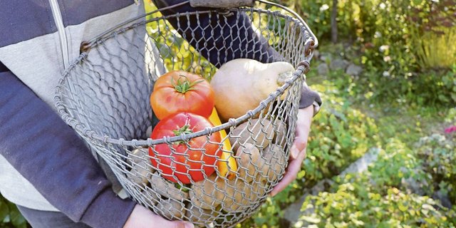 Produkte aus dem Bauerngarten und Naturallieferungen vom Betrieb an den Haushalt senken die Kosten für Lebensmittelzukäufe und können die Teuerung so etwas abfedern. 