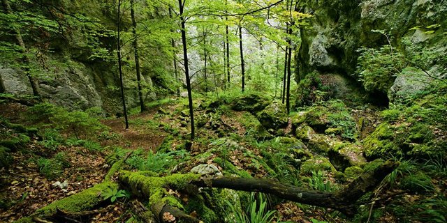 Der regionale Naturpark Thal hat für weitere 10 Jahre das Parklabel. (Bild Schweiz Tourismus)