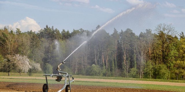 Bewässerung ist beim Anbau von Spezialkulturen unabhängig von der aktuellen Wetterlage. (Bild romü)
