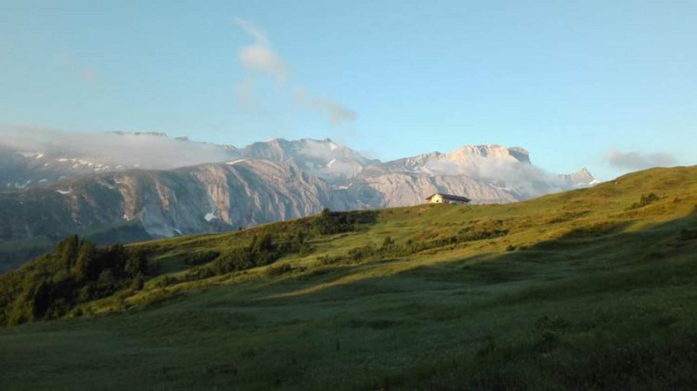 Jessica Rinnerthaler geniesst es, über die wilden Weiden zu gehen. (Bilder Jessica und Raphael Rinnerthaler)