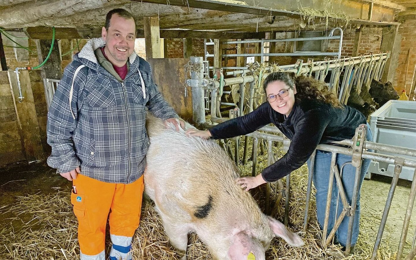 Andreas Hirschi, Esther Hürlimann und Johnny. Der 435 kg schwere, 4-jährige Eber ist nun auf dem Hof Biseggmatte, wo er als Deckeber bis zu seinem Lebensende verbleiben wird. 