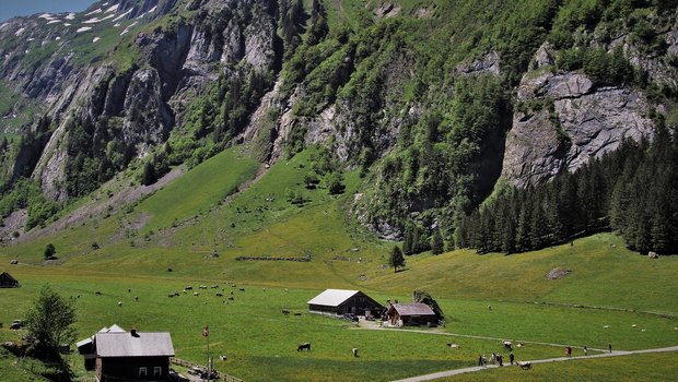 Während die SAB sich gegen die beiden Pflanzenschutz-Initiativen ausspricht, unterstützt sie sowohl den Absenkpfad Pestizide als auch das revidierte CO2-Gesetz. (Bild pasja1000 / Pixabay)