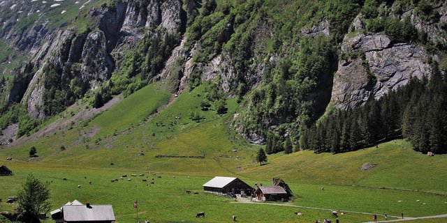 Während die SAB sich gegen die beiden Pflanzenschutz-Initiativen ausspricht, unterstützt sie sowohl den Absenkpfad Pestizide als auch das revidierte CO2-Gesetz. (Bild pasja1000 / Pixabay)