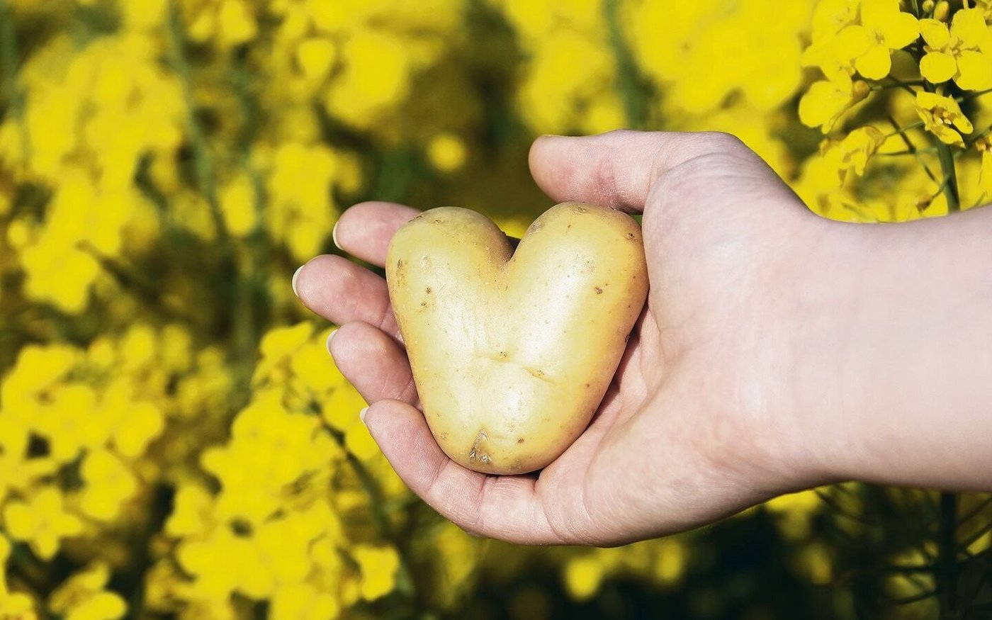 Passen Traum und Realität zusammen? 