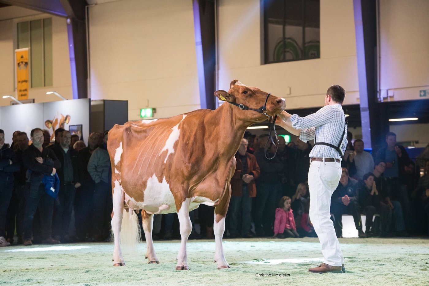 Die Swiss Red Night feiert im Herbst 2021 das 10-jährige Jubiläum. (Bild Bauernzeitung)