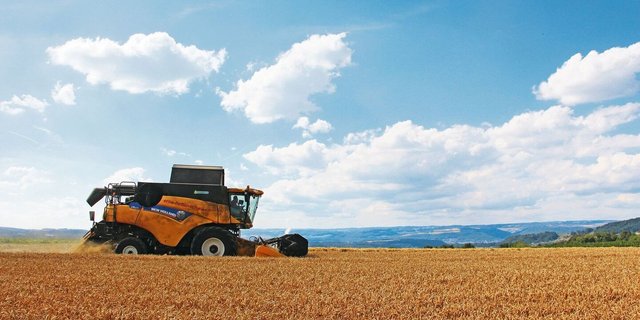 Das Stroh sollte gut auf der Fläche verteilt werden, was bei kurzer Häcksellänge einfacher ist. In eine gleichmässige Mulchschicht lässt sich präziser direkt säen. 