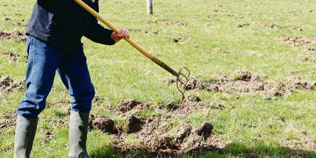 Ein Landwirt aus dem stark betroffenen Bezirk Brugg bringt nach einem Wildschweinbesuch seine Wiese in Ordnung.(Symbolbild rae)