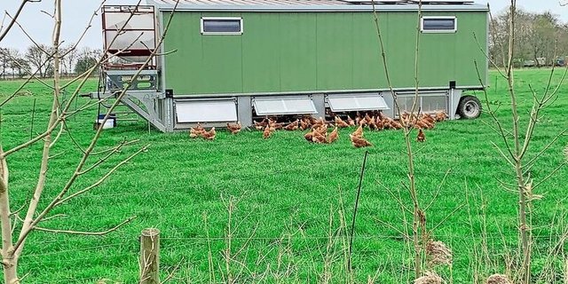 Schon seit über drei Jahren betreibt Auswanderin Sandra Hussmann mit ihrem Mann als Hobby ein Hühnermobil mit max. 340 Tierplätzen. Sie verkaufen die Erzeugnisse zum grössten Teil direkt.