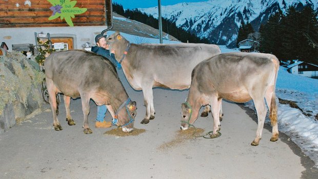 Ein starkes Prättigauer Team: Lukas Meier mit  Blooming Fasca (Mitte) und ihren Töchtern Salomon Sarina (links) und Lennox Lucy (rechts). (Bild Rolf Meier)