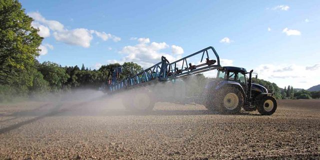 Bei einem vollständigen Verzicht auf synthetische Pflanzenschutzmittel dürften die Erträge massiv zurückgehen, auch im Bio-Landbau. (Jérémie Suchet/landwirtschaft.ch)
