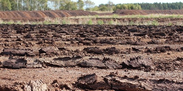 In der Schweiz stehen Moore seit 1987 unter Schutz, und es darf kein Torf mehr abgebaut werden. (Symbolbild Pixabay)