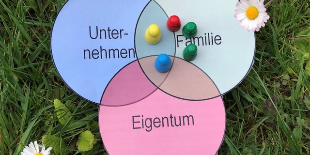In den drei Kreisen des Familienunternehmens sollte man sich bewusst bewegen und sich regelmässig fragen: «Worum geht es gerade, und in welcher Rolle bin ich darin verwickelt?» (Bild lva)