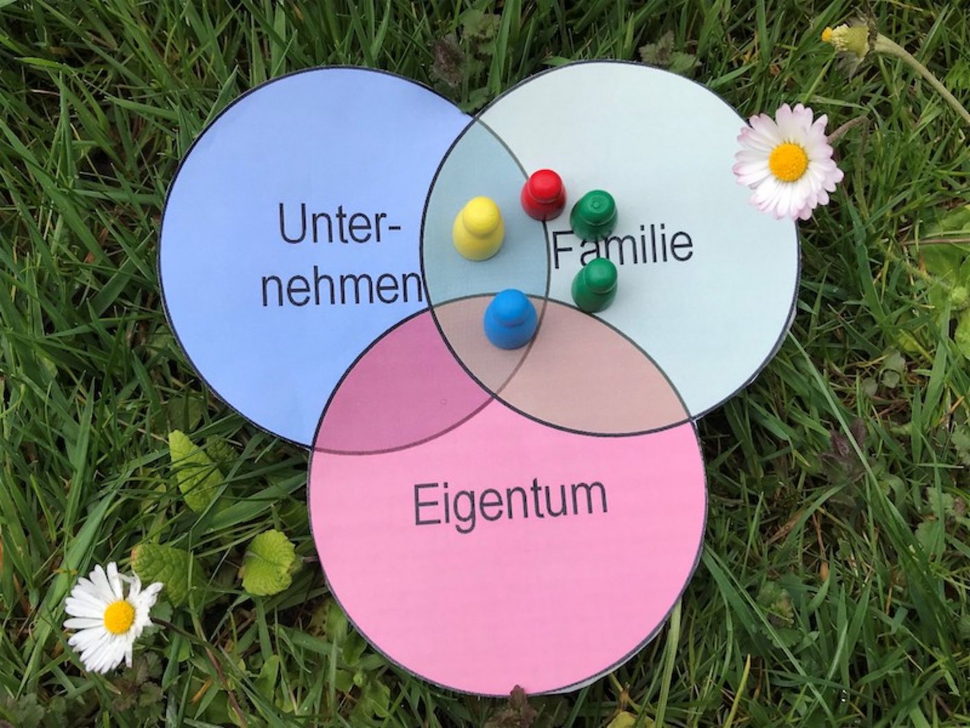In den drei Kreisen des Familienunternehmens sollte man sich bewusst bewegen und sich regelmässig fragen: «Worum geht es gerade, und in welcher Rolle bin ich darin verwickelt?» (Bild lva)