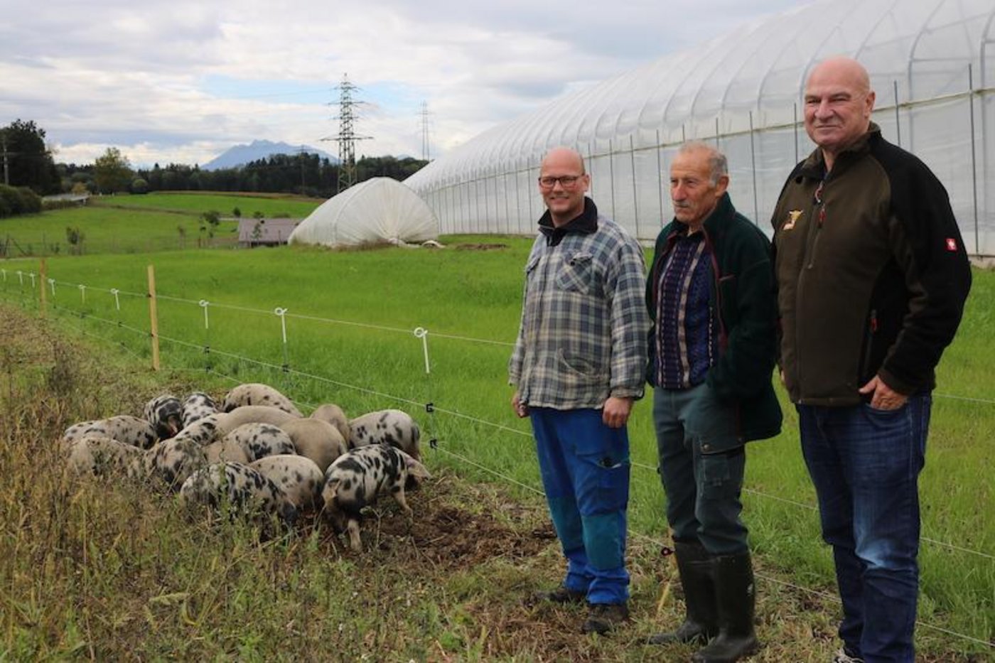Stefan Schuler (betreut die Wollschweine), Gregor Wyss (Landeigentümer) und     Guido Leutenegger (Eigentümer der Wollschweine) v.l.n.r. Die Wollschweine     sollen das Erdmandelgras im Kanton Zug auf natürliche Art dezimieren (Bild zVg).
