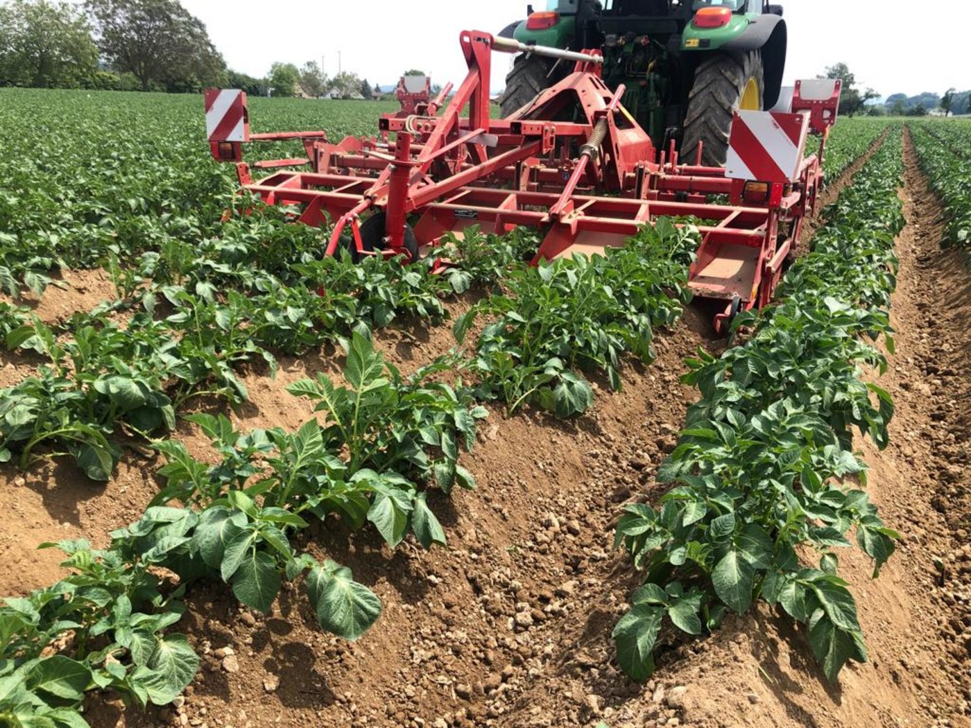 Beim herbizidfreien Anbau wird das Unkraut nur mechanisch reguliert. (Bild Sonja Basler, LZ Liebegg)