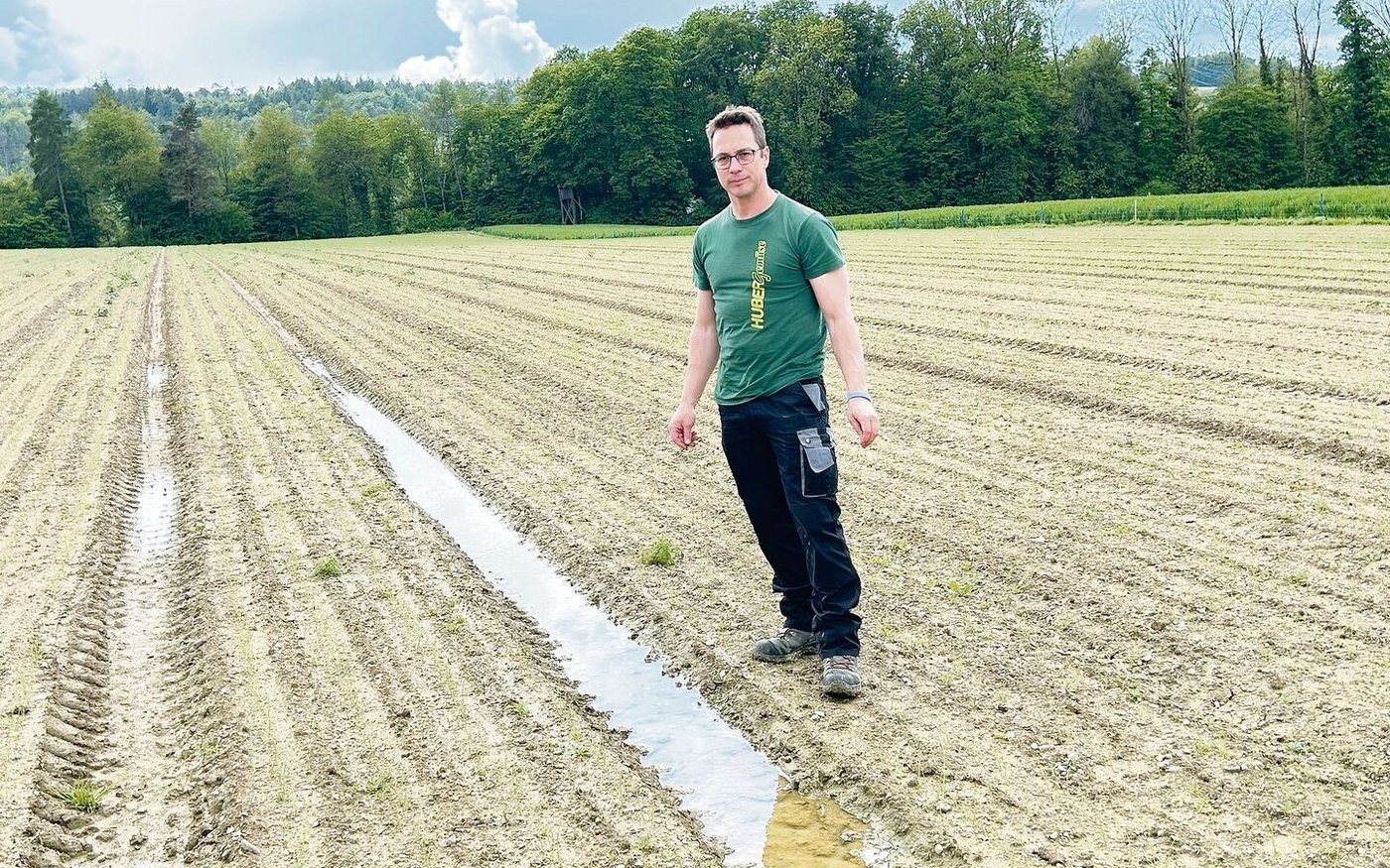 In den Fahrspuren des Zwiebelfeldes sammelt sich das Regenwasser. «Ans Befahren und Behandeln gegen den Unkrautdruck ist nicht zu denken», sagt Reto Huber. Sobald der Boden abgetrocknet ist, ist Handjäten angesagt.