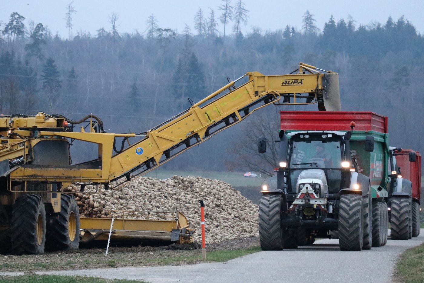 Die Ernte der konventionellen Zuckerrüben startete am 24. September. Starke Regenfälle erschweren aber die Ernte und Lieferung. (Bild BauZ)