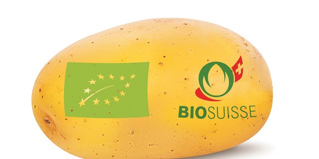 Für die Bio-Produktion gelten in der EU und in der Schweiz ähnliche Grundsätze. Einzelne Labels, wie etwa Bio Suisse, geben jedoch bedeutend strengere Regeln vor. (Bild BauZ)