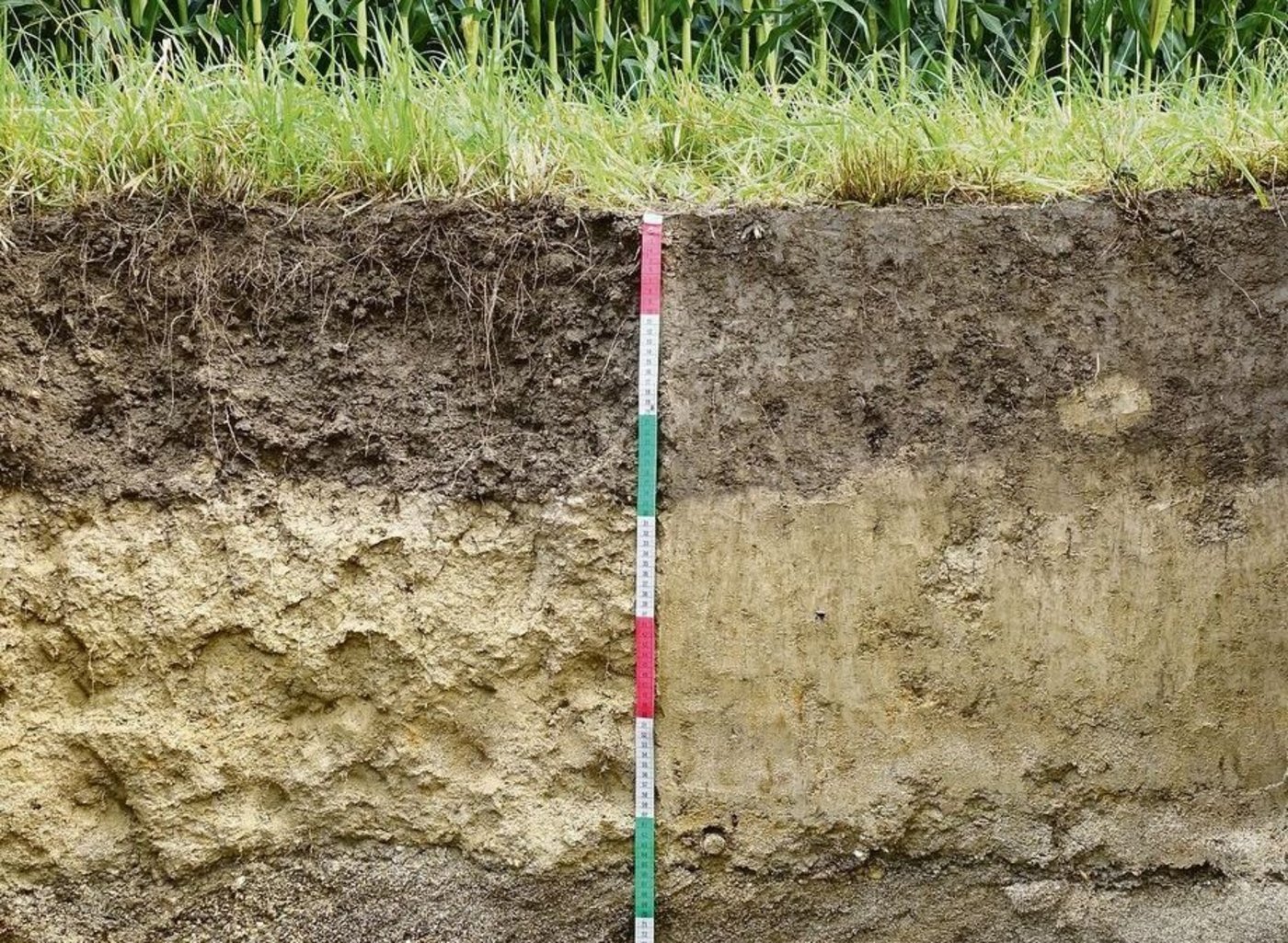 Ein Bodenprofil macht die Eigenschaften des Bodens sichtbar. Laboruntersuchungen liefern weitere Informationen.
