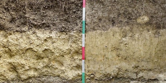 Ein Bodenprofil macht die Eigenschaften des Bodens sichtbar. Laboruntersuchungen liefern weitere Informationen.