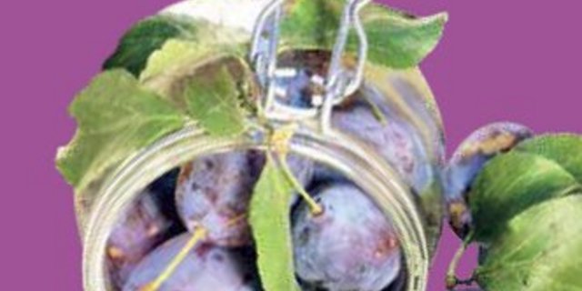 Eine der neuen Broschüren. (BIld: zVg)