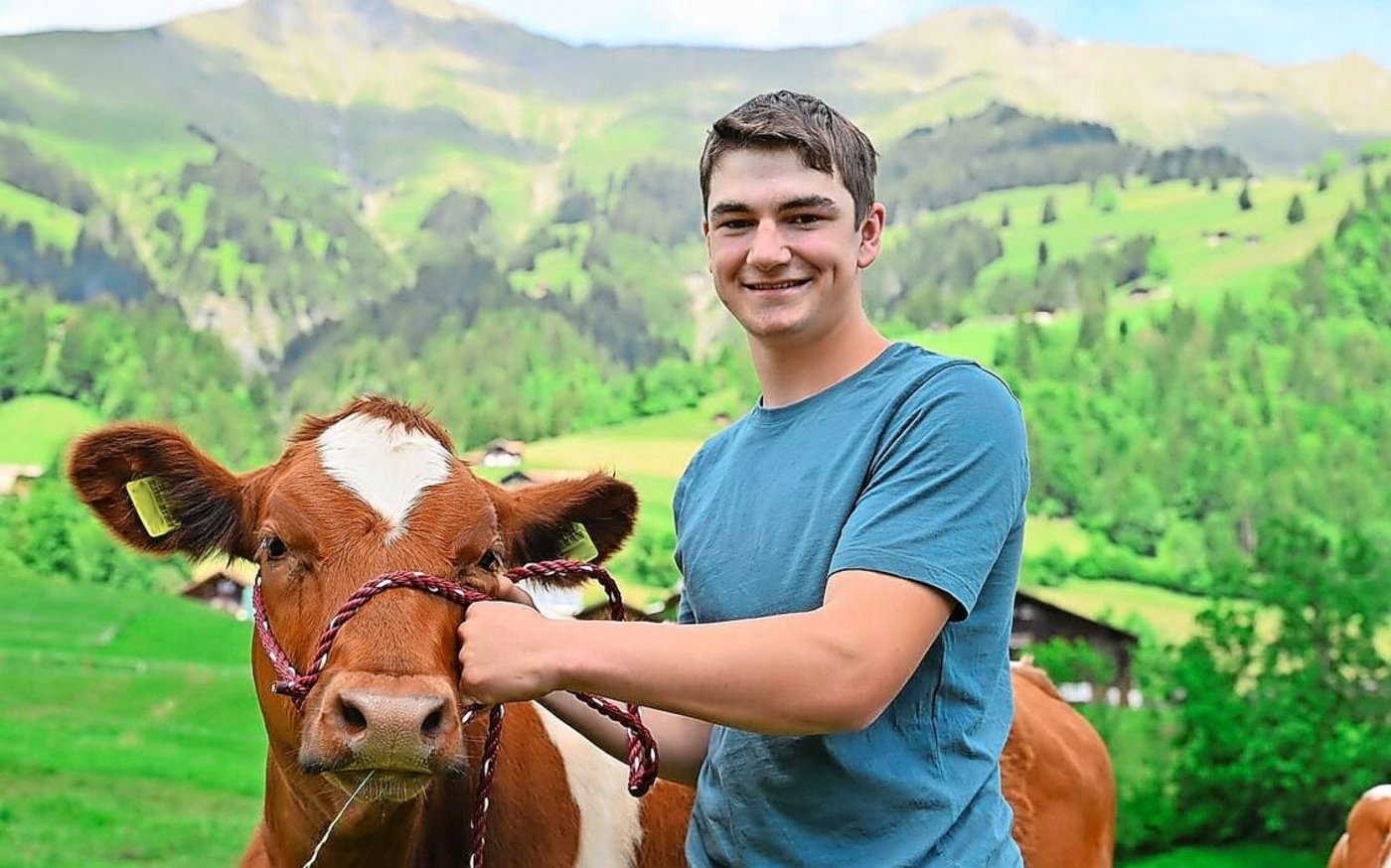 Bei der Stierenauswahl berät sich Jungzüchter Florian Wäfler mit seinem Vater. Er schätzt das gemeinsame Fachsimpeln. Am liebsten setzt der Jungzüchter die beiden SF-Stiere Tommy P und Barack P ein.