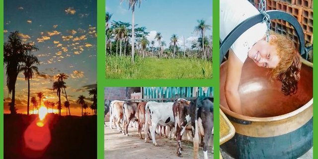 Die Impressionen aus Paraguay muten exotisch an, Vieh und Putzaktion sind aber ein vertrauterer Anblick. (Bilder Michelle Huber)