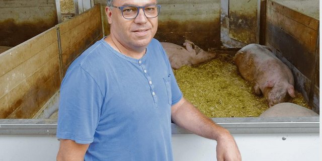 Suisseporcs-Präsident Meinrad Pfister zeigt Interessierten gerne seine Schweinehaltung in Altishofen LU. (Archivbild aem)