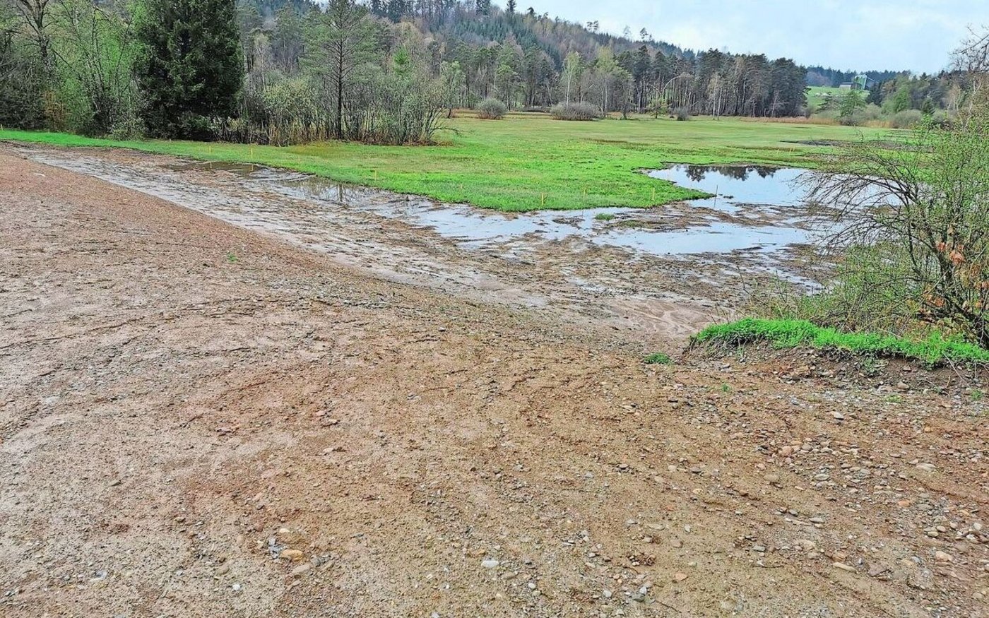 Mit dem Abtrag von Humus sollen einerseits Trocken- und andererseits Feuchtgebiete entstehen. 