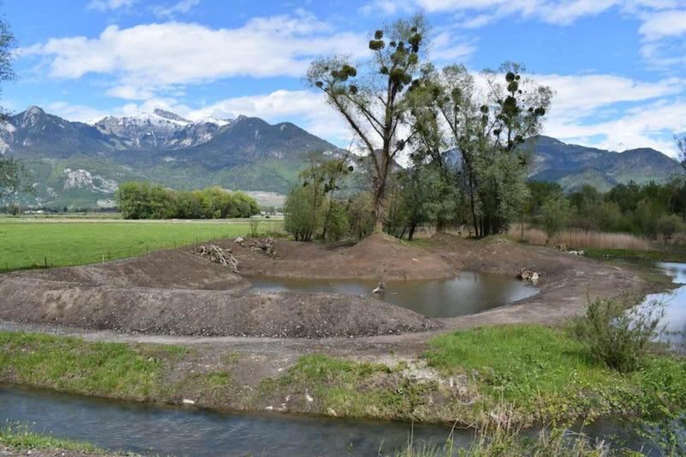Eine extensive landwirtschaftliche Nutzung soll das frisch renaturierte Flachmoor von nationaler Bedeutung instand halten. (Bild ProNatura VS)