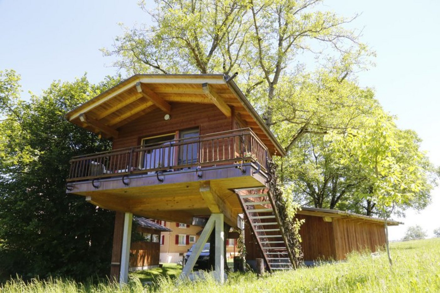 Hier wird Touristen ein Kindertraum wahr: das Wurzelbaumhaus. (Bilder kl)
