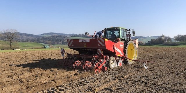 Kartoffeln werden einzeln gesetzt, daher wüsste der Landwirt ziemlich genau, wieviele Saatkartoffeln er benötigt. (Bild jba)