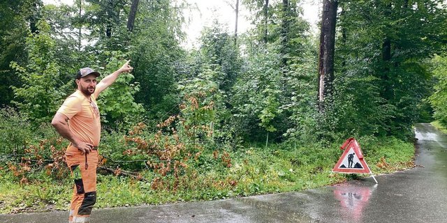 Hanspeter Kretz weist auf Gefahren entlang von Wegen im Wald hin: Er zeigt auf eine schräg stehende kleine Buche und eine geschwächte grosse Buche. 