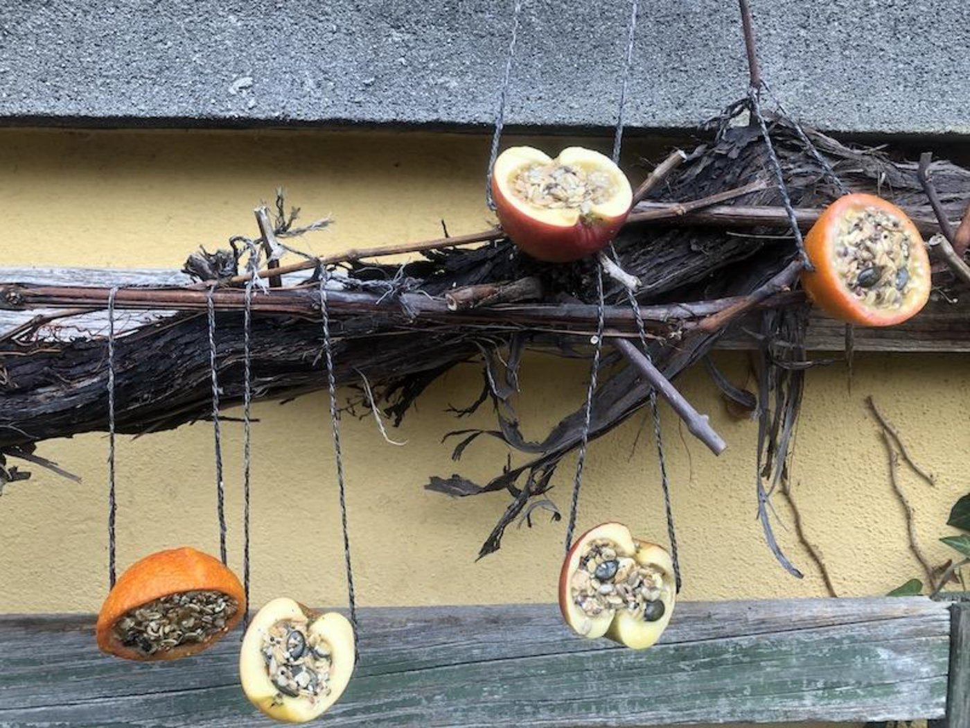 Vogelfutter sollte man Vögeln nur im Winter und bei geschlossener Schneedecke oder Dauerfrost zur Verfügung stellen. (Bilder et)