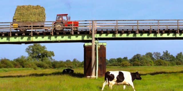 Ein Traktor fährt mit einer Ladung Heu über eine Brücke.