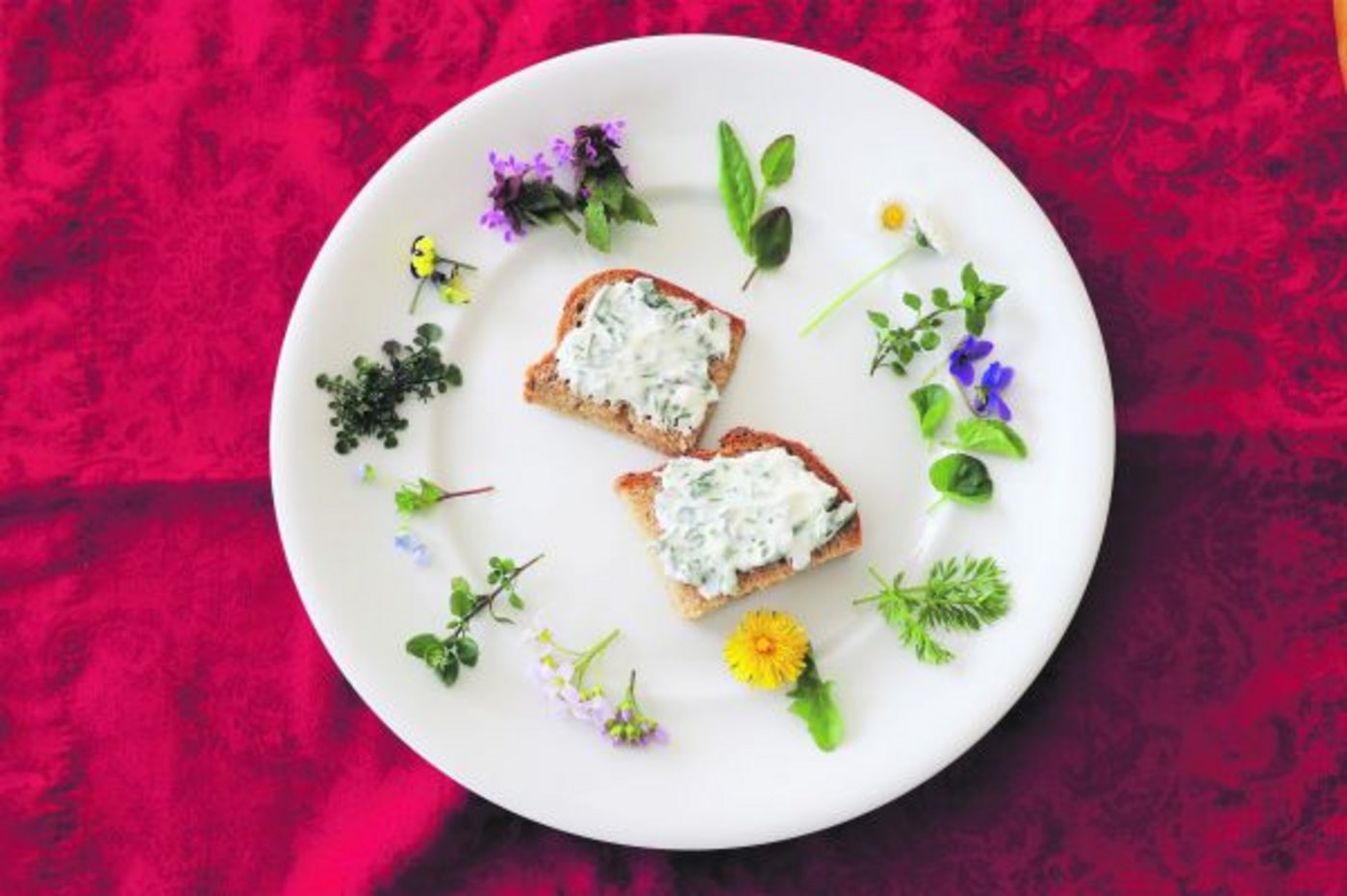 So sieht guter Geschmack aus: Es lohnt sich, den unscheinbaren Wildkräutern Aufmerksamkeit zu schenken. (Bild Ruth Aerni)