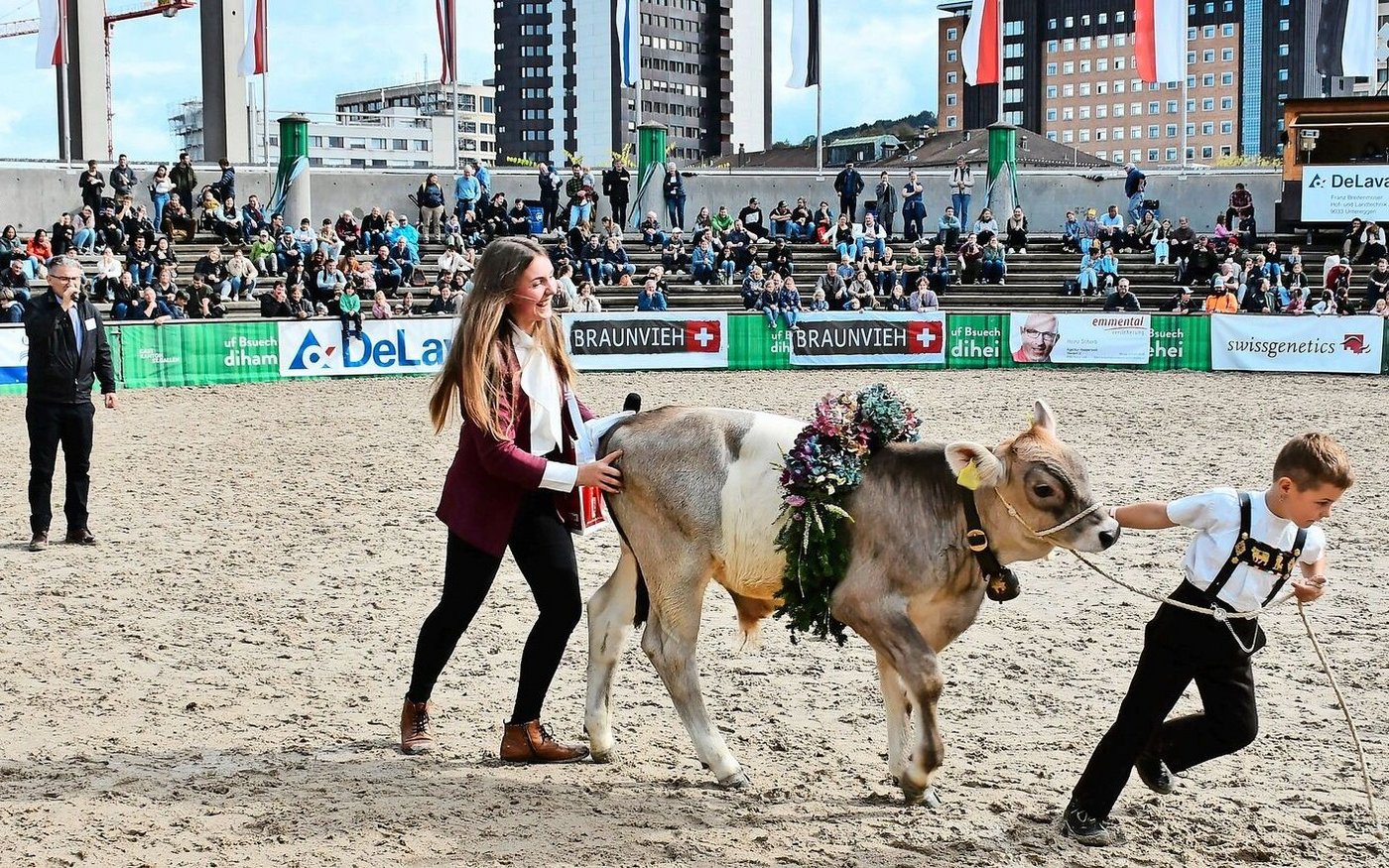 Es war ein Ziehen und Stossen: Braunvieh-Königin Alessia hilft dem Jungzüchter, den Muni Oskar aus der Arena zu befördern. 