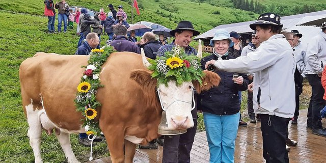 Die Meisterkuh Daria ist gelassen, während die anderen Leute Weisswein trinken. (Bild Toni Bergmann)
