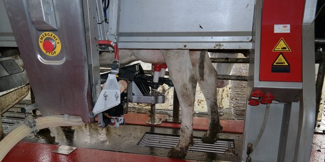 Lely und DeLaval haben bisher keine Lieferverzögerungen zu vermelden. (Bild BauZ)