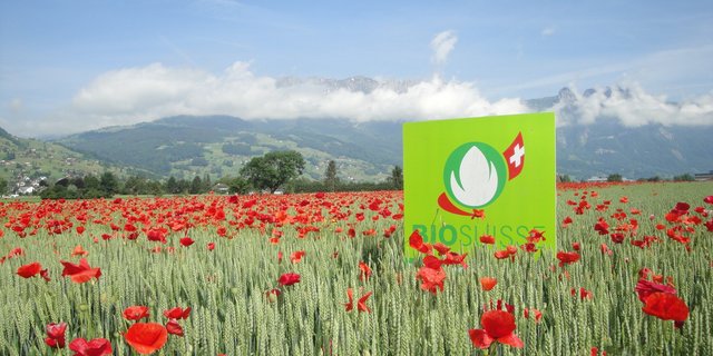 Bio-Produkte sind gefragt. Der Markt wächst weiter. (Bild Bio Suisse)