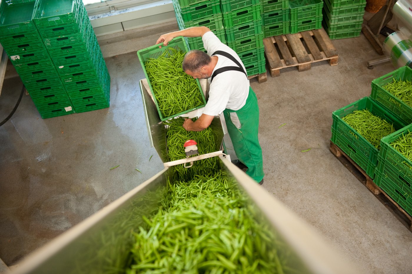 Die zwei Verarbeitungsbauten des Projekts zur regionalen Entwicklung (PRE) im Seeland können gebaut werden – allerdings mit mehr Eigenmitteln. (Bild Fenaco)