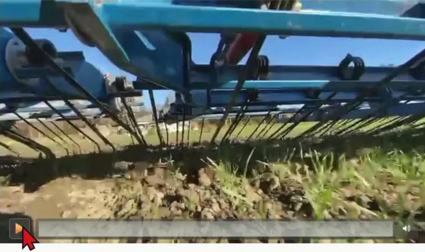 Dies ist der sogenannte «Horror-Blick», welcher beim Striegeln sichtbar ist, wie Leuenberger beschrieb. (Screenshot aus dem fenaco Lifestream)