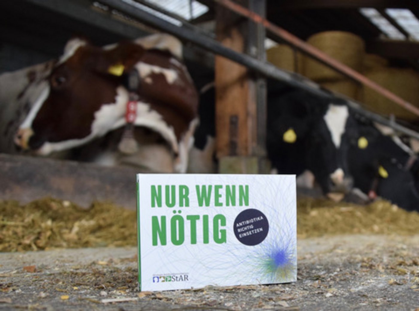 Die Wirksamkeit von Antibiotika für Mensch und Tier erhalten und Resistenzen vermindern: Das sind die beiden wichtigsten Ziele der nationalen Strategie Antibiotikaresistenzen StAR. (Bild BauZ)