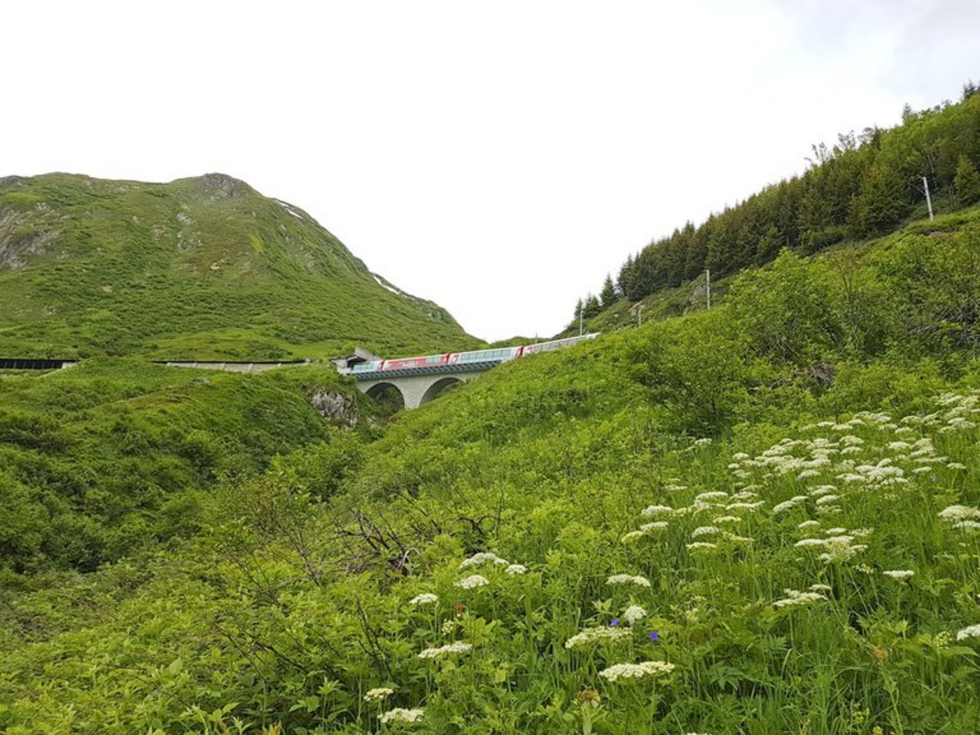 Die Verbuschung beeinträchtig die Biodiversität. (Bild lid/ji)